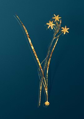 Gold Flower Illustration