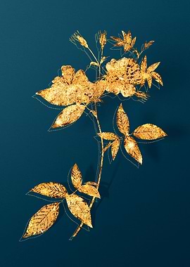 Gold Floral on Teal