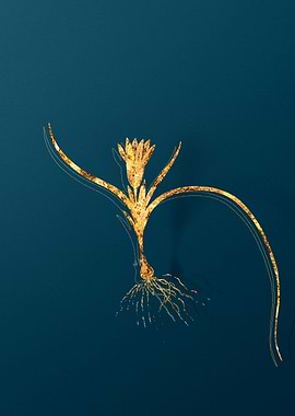 Gold Flower Illustration