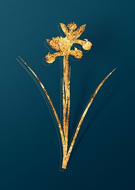 Vintage Plant Illustration