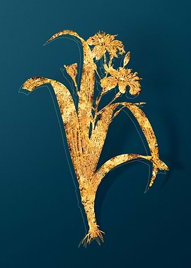 Vintage Botanical Drawing