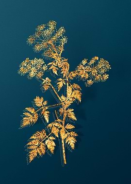 Gold Antique Flowers Teal