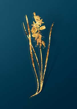 Gold Teal Vintage Florals