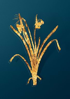 Vintage Flower Drawing