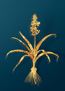 Gold Flower Illustration