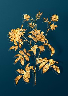 Vintage Flower Drawing