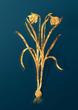 Gold Vintage Illustration