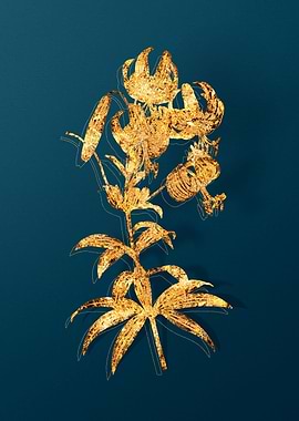 Vintage Botanical Drawing