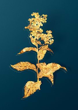 Gold and Teal Drawing