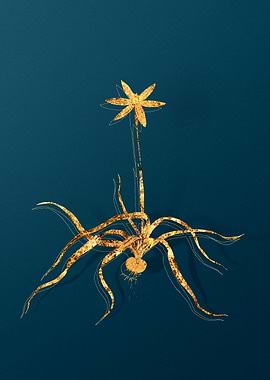 Gold Antique Flowers Teal