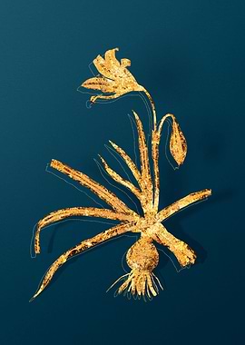 Gold Botanical on Teal