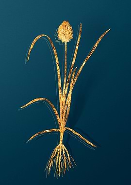 Vintage Flower Drawing