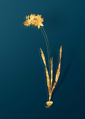 Gold Flower Illustration