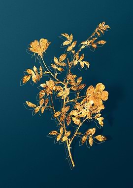 Vintage Flower Drawing