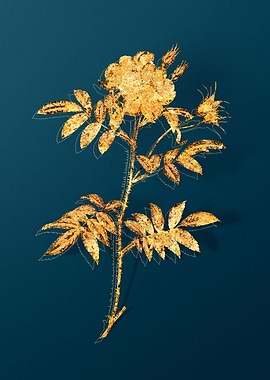 Gold Floral Illustration