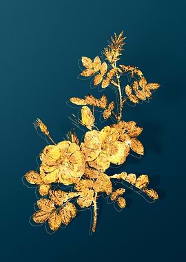 Vintage Botanical Drawing