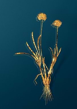 Gold Botanical on Teal