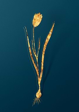 Vintage Illustration Gold