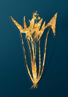 Gold Botanical on Teal