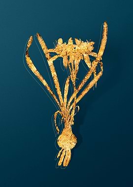 Gold Flower Illustration