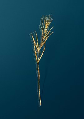 Gold Flower Illustration