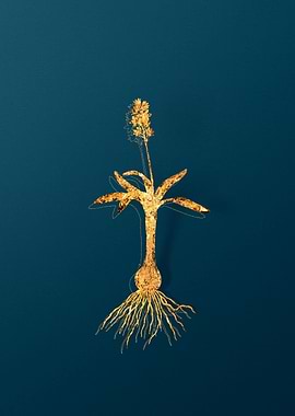 Gold Flower Illustration