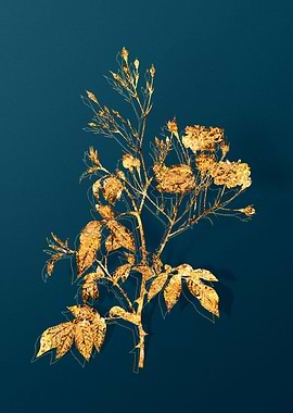 Vintage Flower Drawing