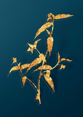 Vintage Floral Drawing