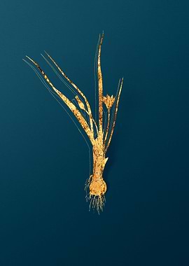 Gold and Teal Drawing