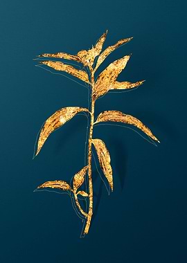 Gold Teal Vintage Florals