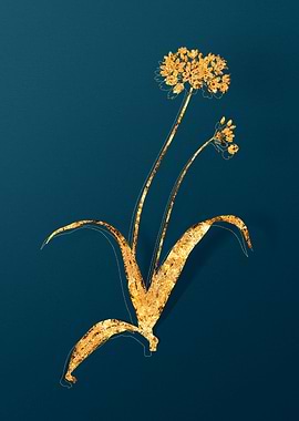 Vintage Flower Drawing