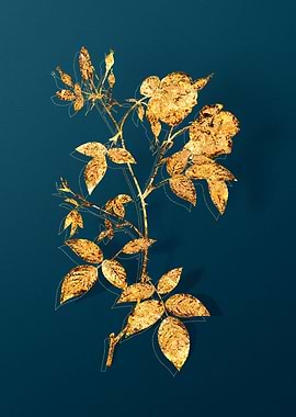 Vintage Flower Drawing