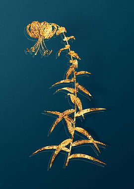 Vintage Floral Drawing