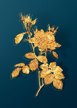 Gold Flowers on Teal