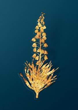 Gold Vintage Illustration