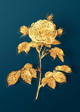 Antique Flower Drawing