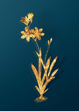 Gold Flower Illustration
