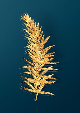 Vintage Botanical Drawing