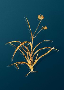 Vintage Plant Illustration