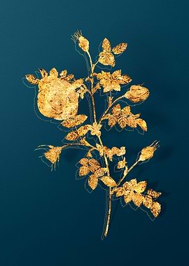 Gold Flower Illustration