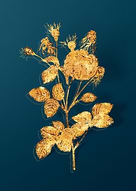 Gold Florals on Teal