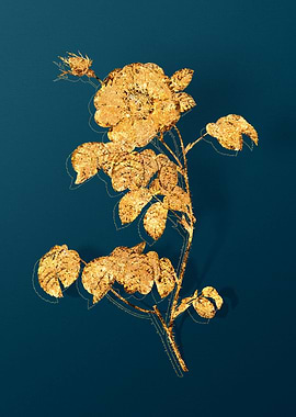Antique Flower Drawing