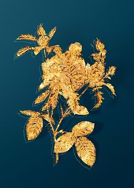 Vintage Flower Drawing