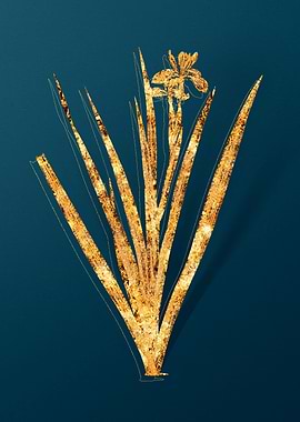 Vintage Flower Drawing