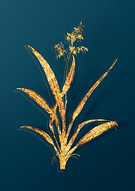 Gold Antique Botanicals