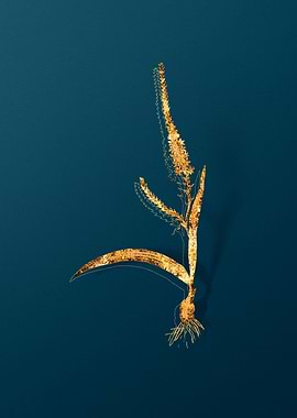 Gold Flower Illustration