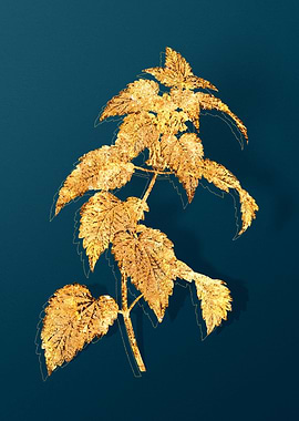 Gold and Teal Drawing