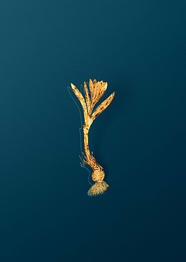 Vintage Flower Drawing