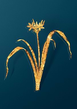 Gold Flower Illustration