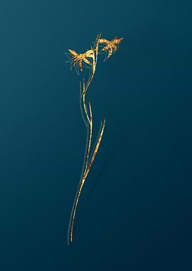 Antique Botanicals Gold